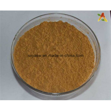 Natural Hawthorn Leaf Extract Hawthorn Extract